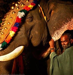 Tailor-made India tour